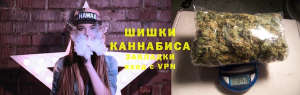 Альфа ПВП Лабытнанги