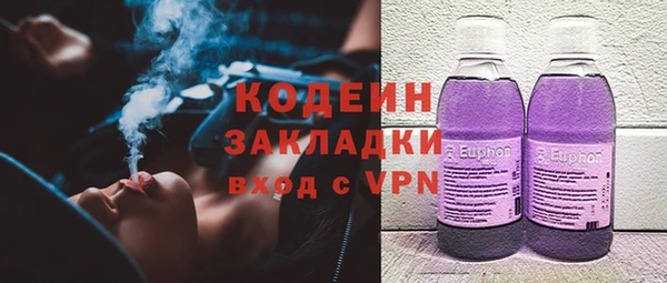 прущие грибы Кукмор