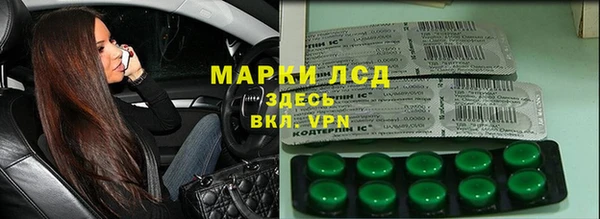 стаф Кулебаки