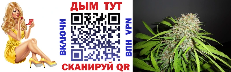 Конопля гибрид  Костерёво 
